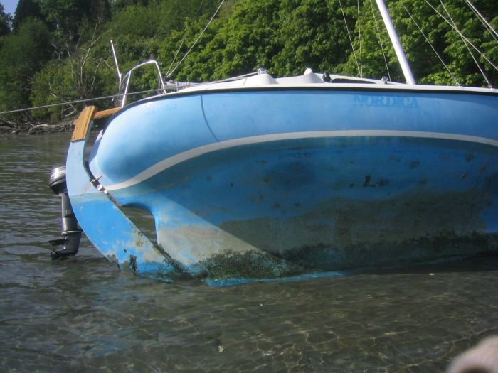 gal/2006-05-05 Careening/IMG_3162.jpg